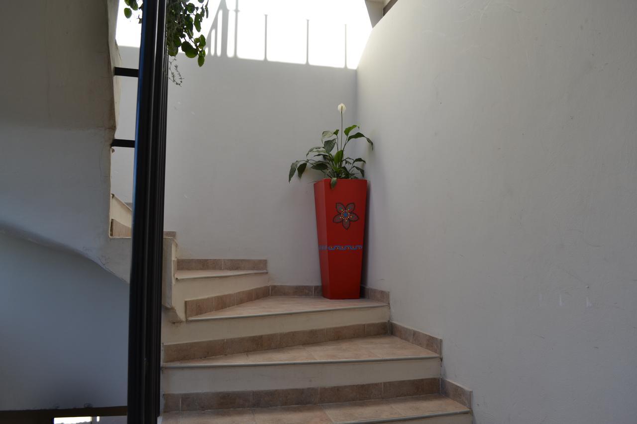 Guest House Jujuy San Salvador de Jujuy Eksteriør bilde
